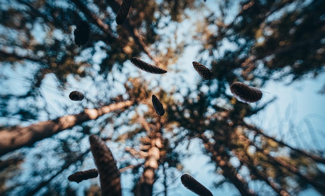Genieten van natuur en gastronomie in het hart van het bos