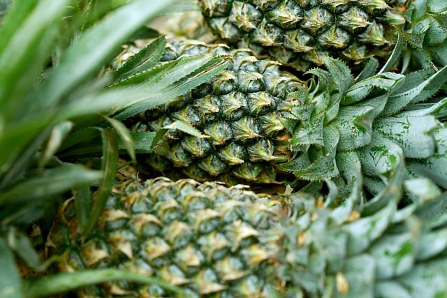 Stap voor stap: je eigen ananasplant stekken en verzorgen